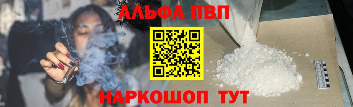 Alfa_PVP СК Гатчина