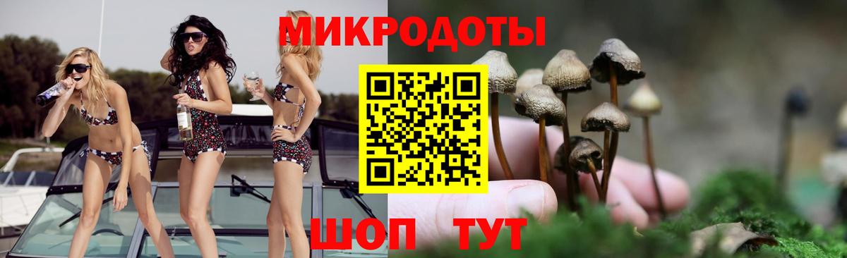 Галлюциногенные грибы мицелий  Вход с VPN  Гатчина 